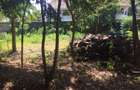 1 m² Land in Runda - 5