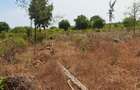 Land at Vipingo - 9