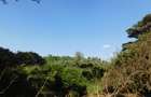 Residential Land in Karen Hardy - 1