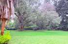 4.1 ac Land in Rosslyn - 8