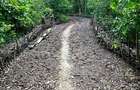 8,093.72 m² Land at Mtwapa Creek Aloo Drive - 18
