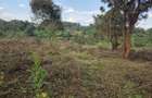 Land in Karen - 4