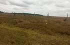 0.25 ac Residential Land at Isinya-Pipeline Road - 4