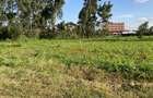 0.05 ha Land in Kikuyu Town - 15