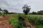 Residential Land at Kitisuru Ridge 44 - 10