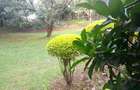 3 Bed House with En Suite at Karen - 6