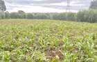 0.5 ac Land in Redhill - 4
