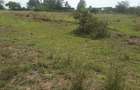 0.25 ac Residential Land in Ongata Rongai - 9