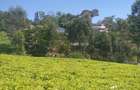 0.5 ac Residential Land in Tigoni - 1