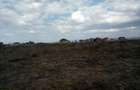 0.25 ac Land at Katani - 1