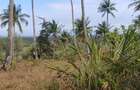 1,450 ac Land at Mabokoni - 3