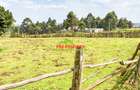 0.05 ha Land in Limuru - 8