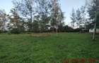 0.25 ac Residential Land at Diani Beach Road - 5