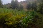 Land in Ngong - 2