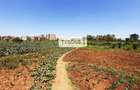 18.5 ac Commercial Land in Kasarani - 3