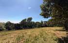 6.39 ac Residential Land in Tigoni - 7