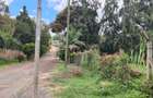 0.5 ac Land at Kitisuru Springs - 11