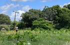 505 m² Land at Mavueni - 11