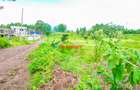 0.0697 ha Residential Land at Gikambura - 7