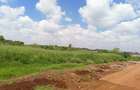 25 ac Land at Off Paradise Lost Road - 4