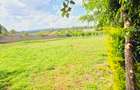 Residential Land at Mumwe - 2