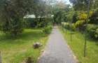 2 Bed House with Garden in Karen - 2