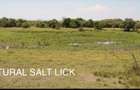 33 ac Land at Narok County - 8
