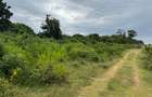 10 ac Land in Vipingo - 7