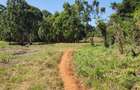 Residential Land at Runda Paradise - 1