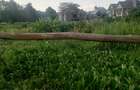 1.25 ac Land in Lavington - 5