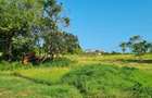 4 ac Land at Serena - 14