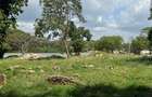 7 ac Commercial Land at Shanzu Beach - Overlooking Mtwapa Creek - 9