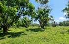 25 ac Land at Mtwapa - 10