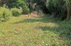 2 ac Land in Karen Hardy - 2