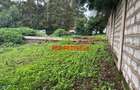 0.05 ha Commercial Land in Kikuyu Town - 6