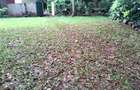 5 Bed House with En Suite in Lavington - 19