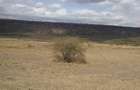 100 ac Land at Olepolos - 2