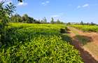 Land in Limuru - 4