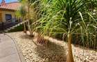 5 Bed Townhouse with En Suite in Rosslyn - 10