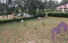 1 ac Land at Karen Road - 4