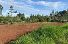 6,000 m² Land in Limuru - 5