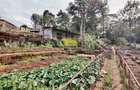 Land in Westlands Area - 16