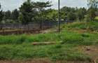 0.5 ac Land in Thome - 6