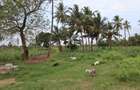 20 ac Land in Kikambala - 7