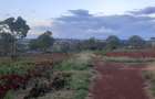 Residential Land at Ruiru Githunguri Road - 12