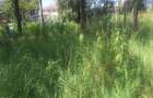 0.113 ac Residential Land in Ongata Rongai - 1