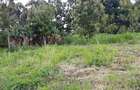 Residential Land in Kikuyu Town - 5