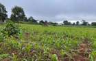 3.7 ac Land at Kiambu - 7