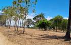 1 ac Land at Creek Beach Side - 13