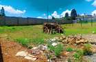 500 m² Residential Land at Rosegate 2A Estate - 8